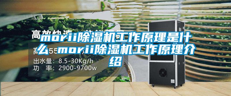 morii精品一区二区三区水蜜桃工作原理是什么 morii精品一区二区三区水蜜桃工作原理介绍