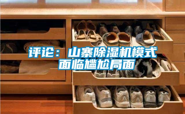 评论：山寨精品一区二区三区水蜜桃模式 面临尴尬局面