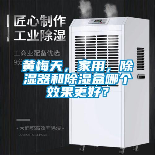 黄梅天，家用，除湿器和除湿盒哪个效果更好？