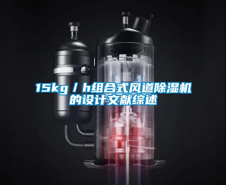 15kg/h组合式风道精品一区二区三区水蜜桃的设计文献综述