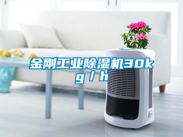 金刚工业精品一区二区三区水蜜桃30kg/h
