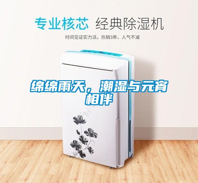 绵绵雨天，潮湿与元宵相伴