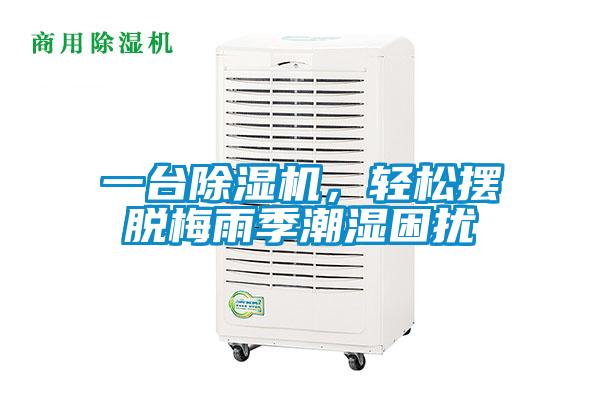 一台精品一区二区三区水蜜桃，轻松摆脱梅雨季潮湿困扰