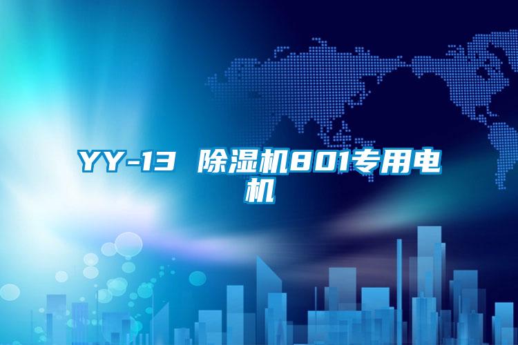 YY-13 精品一区二区三区水蜜桃801专用电机