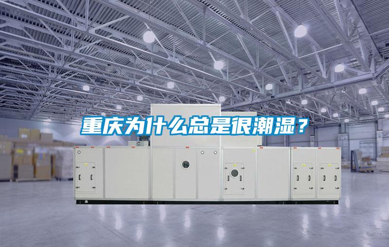 重庆为什么总是很潮湿？