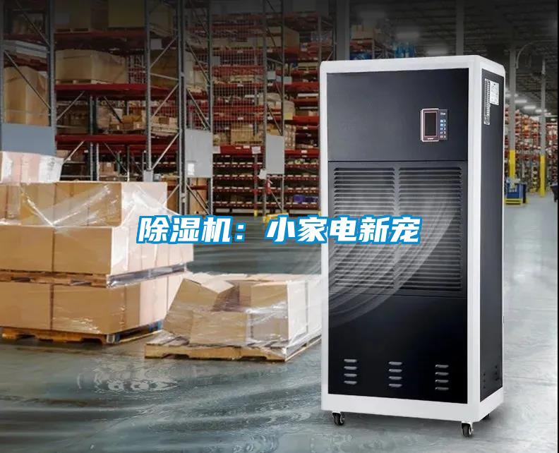 精品一区二区三区水蜜桃：小家电新宠