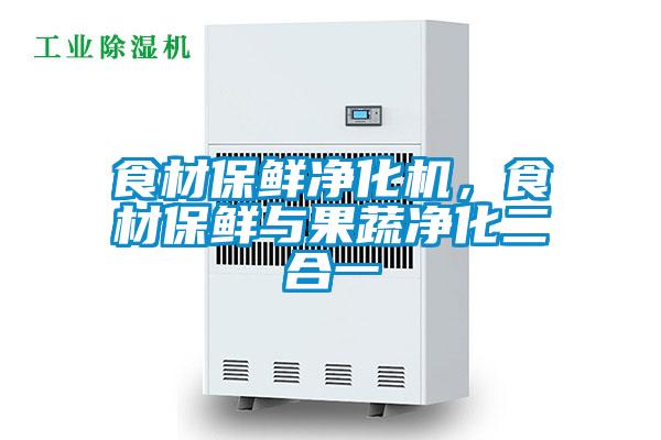 食材保鲜净化机，食材保鲜与果蔬净化二合一