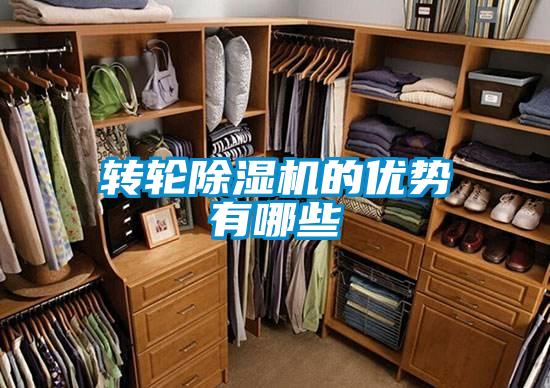 转轮精品一区二区三区水蜜桃的优势有哪些