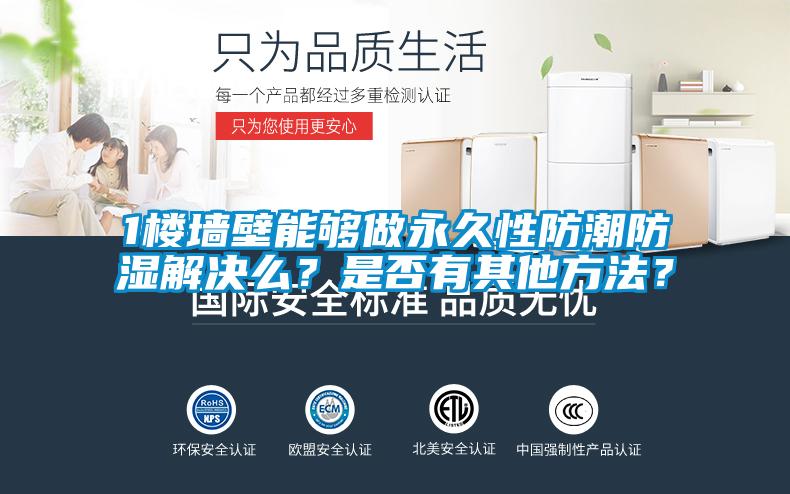 1楼墙壁能够做永久性防潮防湿解决么？是否有其他方法？