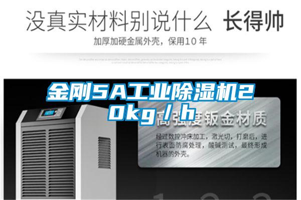 金刚5A工业精品一区二区三区水蜜桃20kg／h