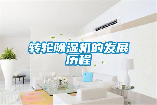 转轮精品一区二区三区水蜜桃的发展历程