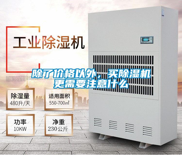 除了价格以外，买精品一区二区三区水蜜桃更需要注意什么