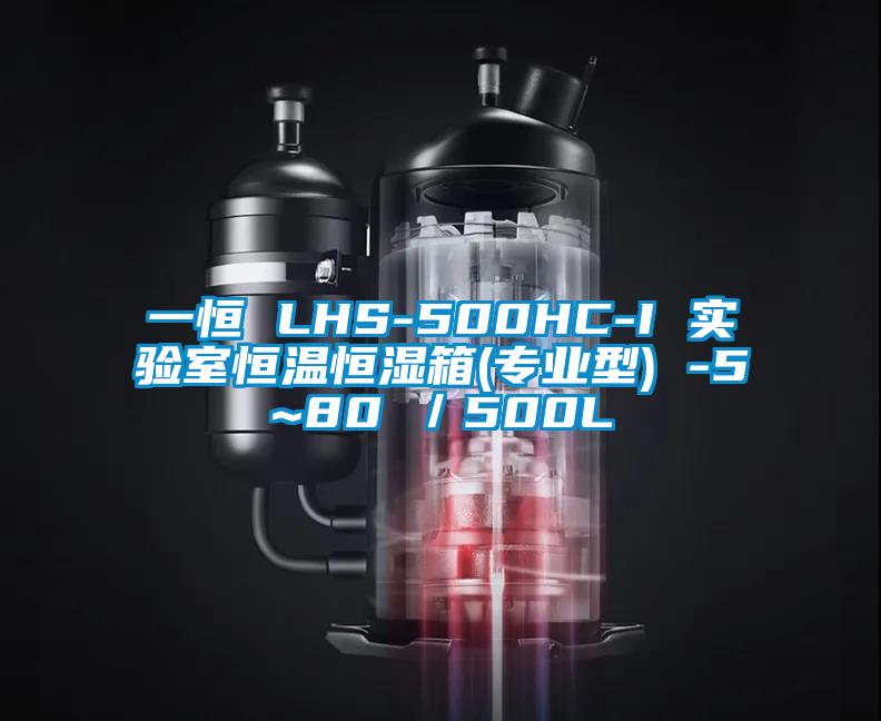 一恒 LHS-500HC-I 实验室恒温恒湿箱(专业型) -5~80℃/500L