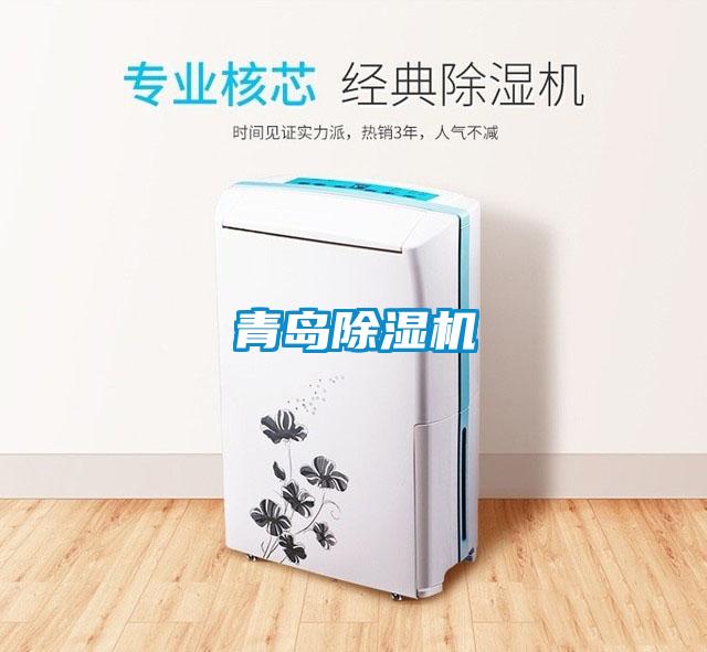 青岛精品一区二区三区水蜜桃