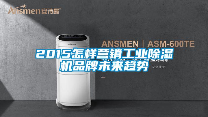 2015怎样营销工业精品一区二区三区水蜜桃品牌未来趋势