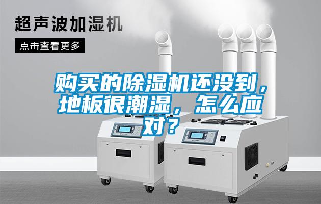 购买的精品一区二区三区水蜜桃还没到，地板很潮湿，怎么应对？