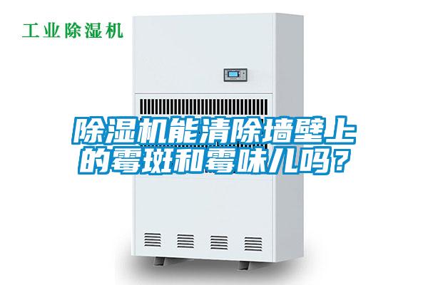 精品一区二区三区水蜜桃能清除墙壁上的霉斑和霉味儿吗？