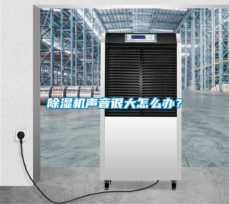 精品一区二区三区水蜜桃声音很大怎么办？