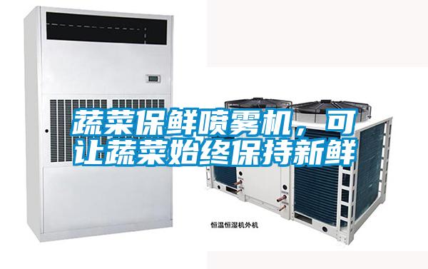 蔬菜保鲜喷雾机，可让蔬菜始终保持新鲜
