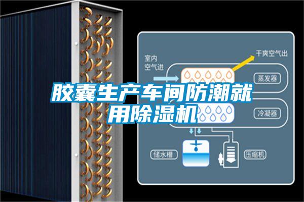 胶囊生产车间防潮就用精品一区二区三区水蜜桃