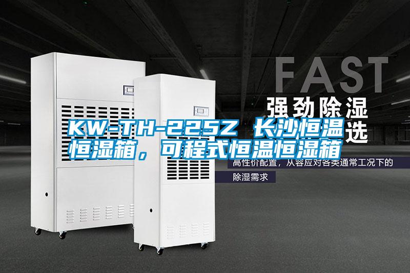 KW-TH-225Z 长沙恒温恒湿箱，可程式恒温恒湿箱