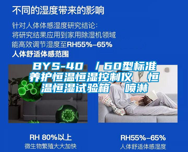 BYS-40 /60型标准养护恒温恒湿控制仪 恒温恒湿试验箱 喷淋