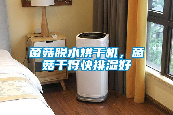 菌菇脱水烘干机，菌菇干得快排湿好