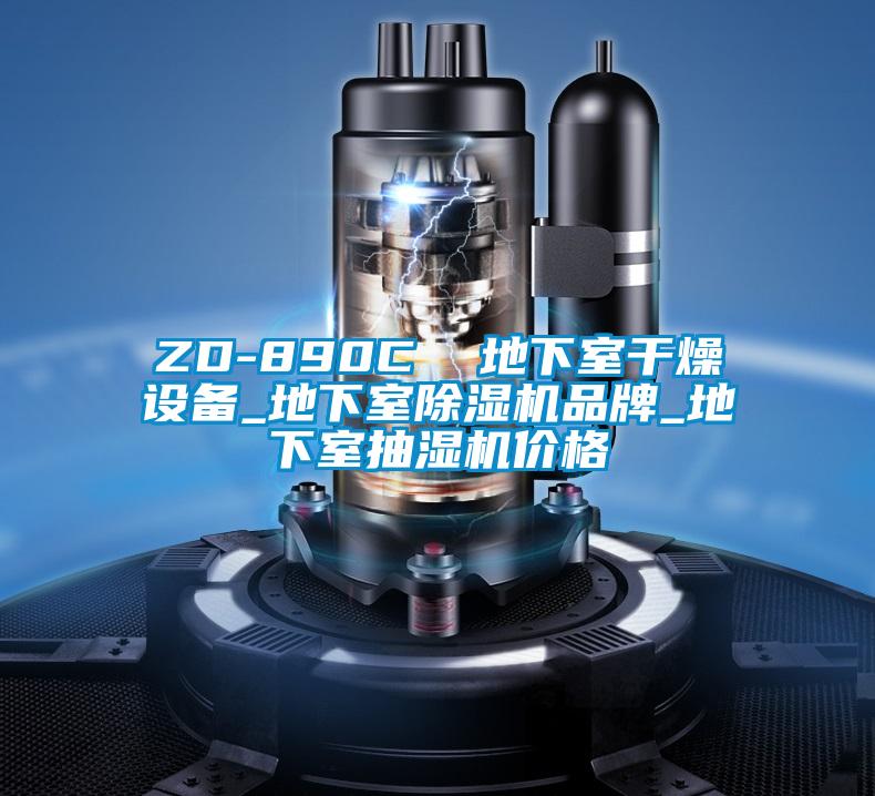 ZD-890C  地下室干燥设备_地下室精品一区二区三区水蜜桃品牌_地下室抽湿机价格