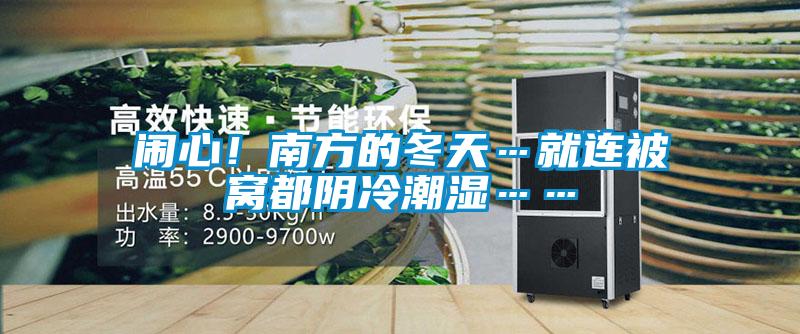 闹心！南方的冬天…就连被窝都阴冷潮湿……