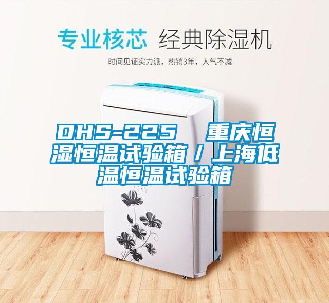 DHS-225 重庆恒湿恒温试验箱/上海低温恒温试验箱