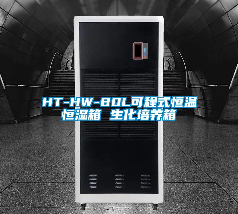 HT-HW-80L可程式恒温恒湿箱 生化培养箱