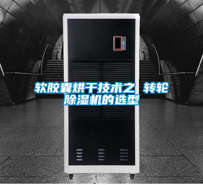 软胶囊烘干技术之 转轮精品一区二区三区水蜜桃的选型