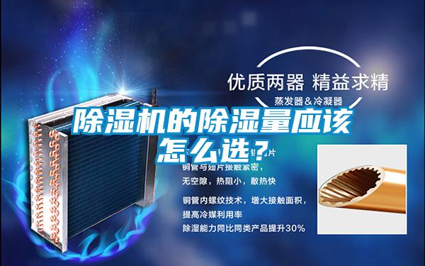 精品一区二区三区水蜜桃的除湿量应该怎么选？