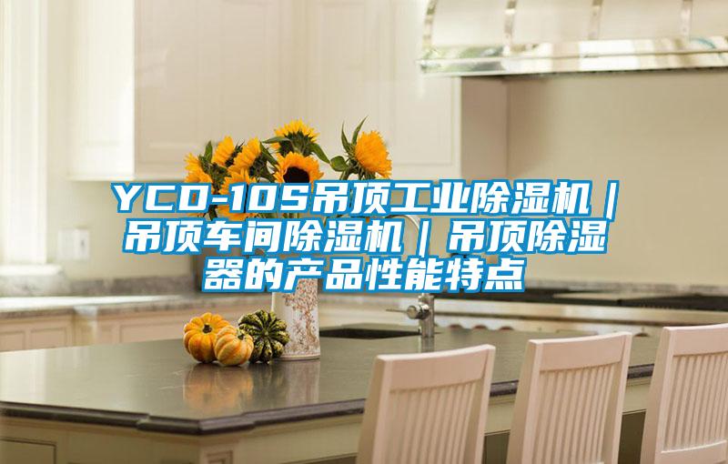 YCD-10S吊顶工业精品一区二区三区水蜜桃|吊顶车间精品一区二区三区水蜜桃|吊顶除湿器的产品性能特点