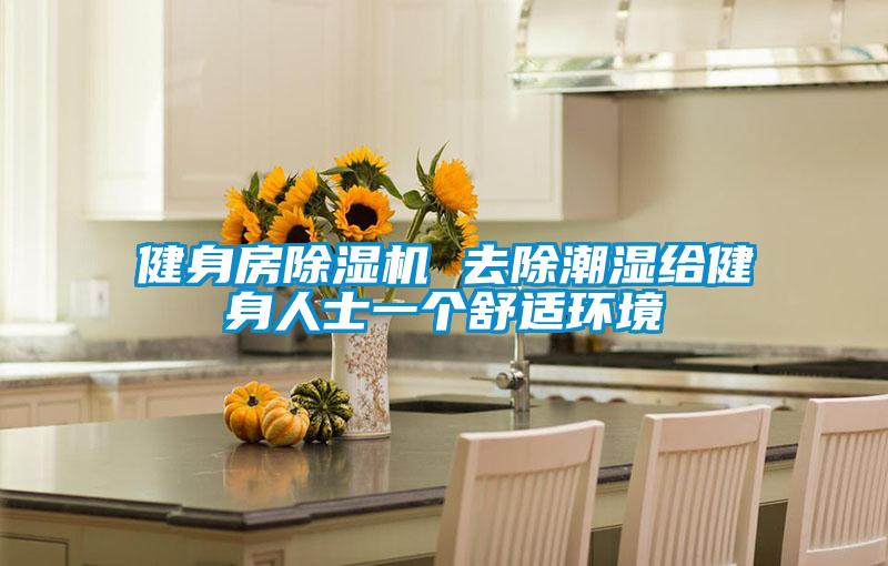 健身房精品一区二区三区水蜜桃 去除潮湿给健身人士一个舒适环境