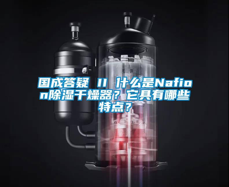 国成答疑 II 什么是Nafion除湿干燥器？它具有哪些特点？