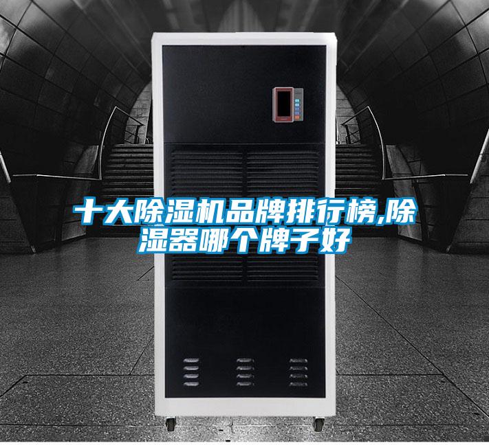 十大精品一区二区三区水蜜桃品牌排行榜,除湿器哪个牌子好