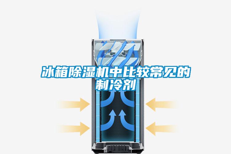 冰箱精品一区二区三区水蜜桃中比较常见的制冷剂