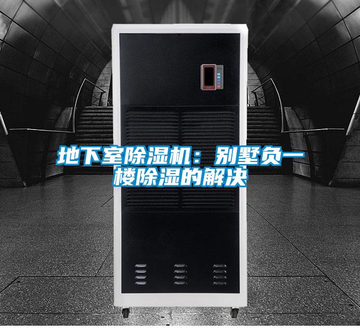 地下室精品一区二区三区水蜜桃：别墅负一楼除湿的解决