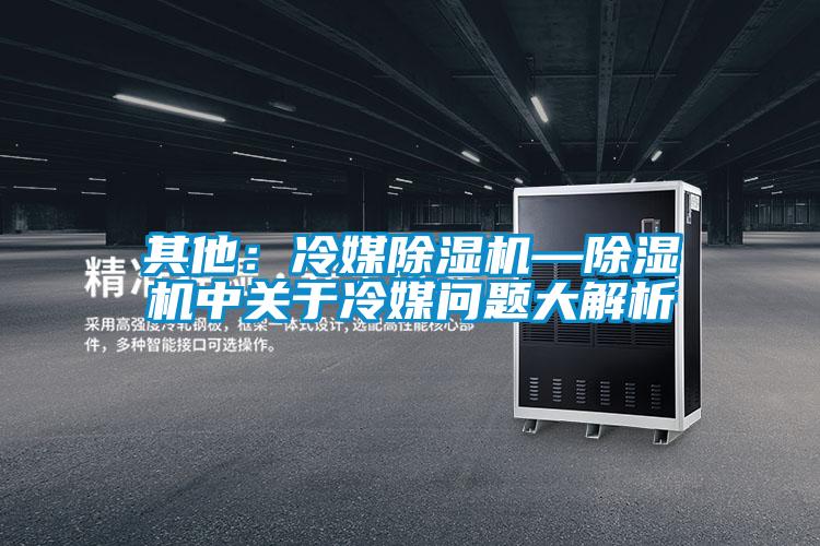 其他：冷媒精品一区二区三区水蜜桃—精品一区二区三区水蜜桃中关于冷媒问题大解析