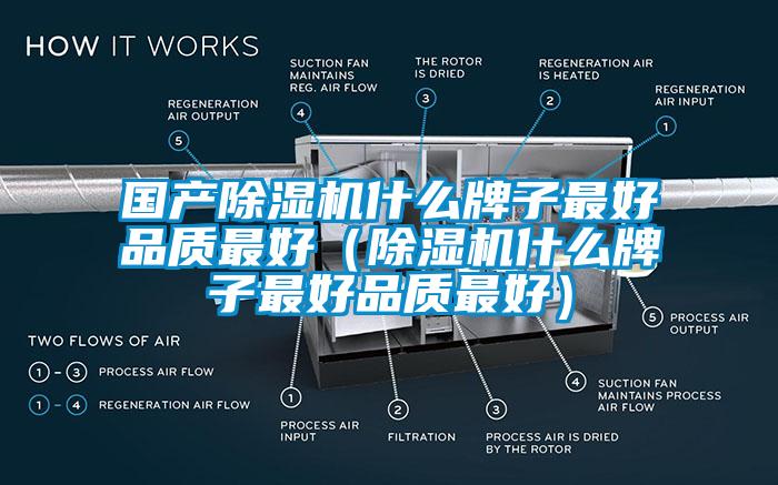 国产精品一区二区三区水蜜桃什么牌子最好品质最好（精品一区二区三区水蜜桃什么牌子最好品质最好）