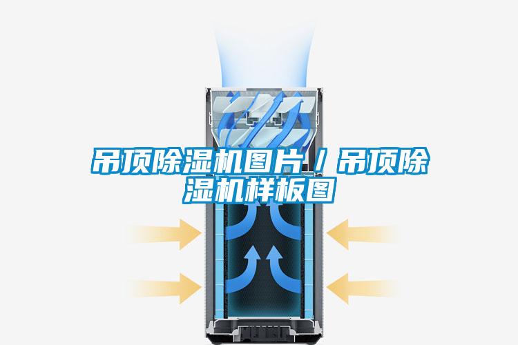 吊顶精品一区二区三区水蜜桃图片/吊顶精品一区二区三区水蜜桃样板图