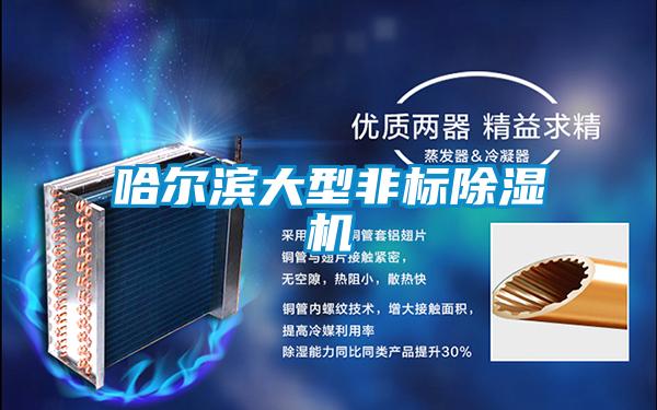 哈尔滨大型非标精品一区二区三区水蜜桃