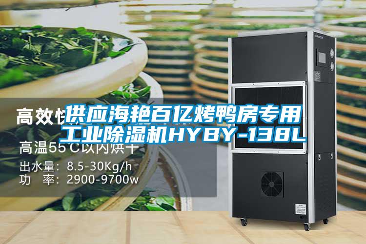 供应海艳百亿烤鸭房专用工业精品一区二区三区水蜜桃HYBY-138L