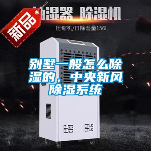 别墅一般怎么除湿的，中央新风除湿系统