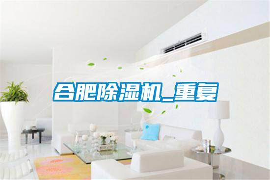 合肥精品一区二区三区水蜜桃_重复