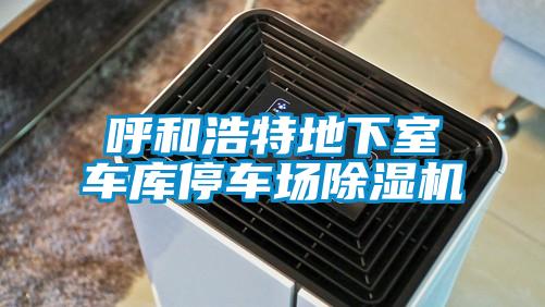 呼和浩特地下室车库停车场精品一区二区三区水蜜桃