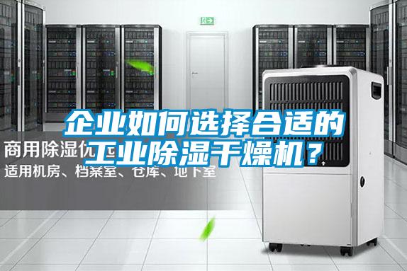 企业如何选择合适的工业除湿干燥机？