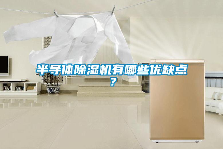 半导体精品一区二区三区水蜜桃有哪些优缺点？