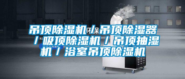 吊顶精品一区二区三区水蜜桃/吊顶除湿器/吸顶精品一区二区三区水蜜桃/吊顶抽湿机/浴室吊顶精品一区二区三区水蜜桃